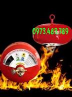 Bảo  hộ vật tư bảo binh Bình cầu chữa cháy tự động 6kg giá Rẻ 1191XP