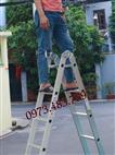 Thang Nhôm gấp gọn Chữ A 3m 5m 7m TNG3V