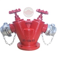 baohovattubaobinh Trụ Chữa Cháy 2 Cửa D65_Hàng Chất Lượng Cao TC_008