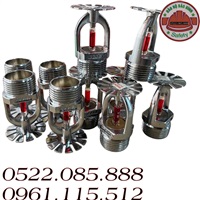 baohovattubaobinh Đầu phun TXXF  DN20 hướng quay xuống Đp 1